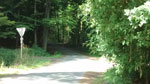 /i/radwege/radwege-in-nrw/radwege-in-bielefeld/bielefeld-radtour-bi-1/Waldweg Richtung Kampheide